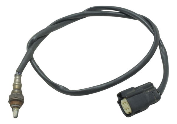 Sonda Lambda Harley Electra Touring M8 114 19-23 Original