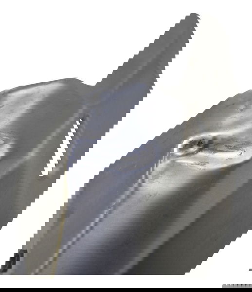 Capa Protetor Ponteira C/avar Kawasaki Z 400 19-23 Original