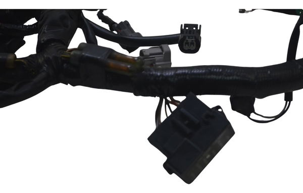 Chicote Principal C/avaria Kawasaki Z 400 19-23 Original