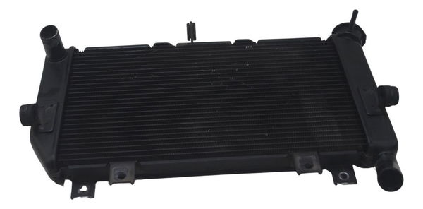 Radiador Kawasaki Z 400 19-23 Original