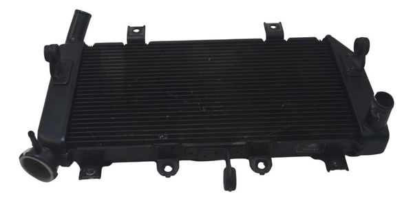 Radiador Kawasaki Z 400 19-23 Original