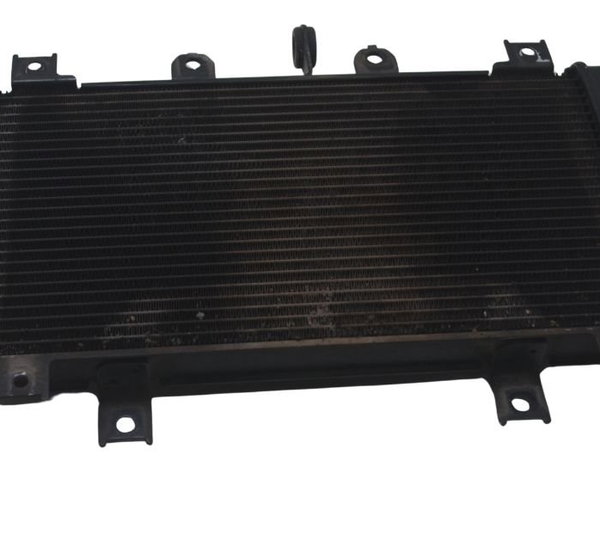 Radiador Kawasaki Z 400 19-23 Original