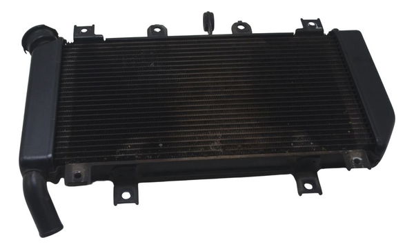Radiador Kawasaki Z 400 19-23 Original