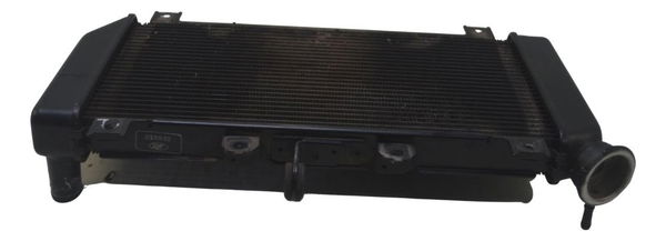 Radiador Kawasaki Z 400 19-23 Original