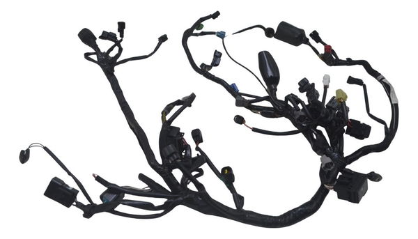 Chicote Principal Kawasaki Z 400 19-23 Original