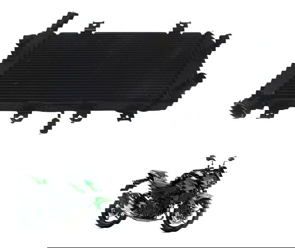 Radiador Kawasaki Z 400 19-23 Original