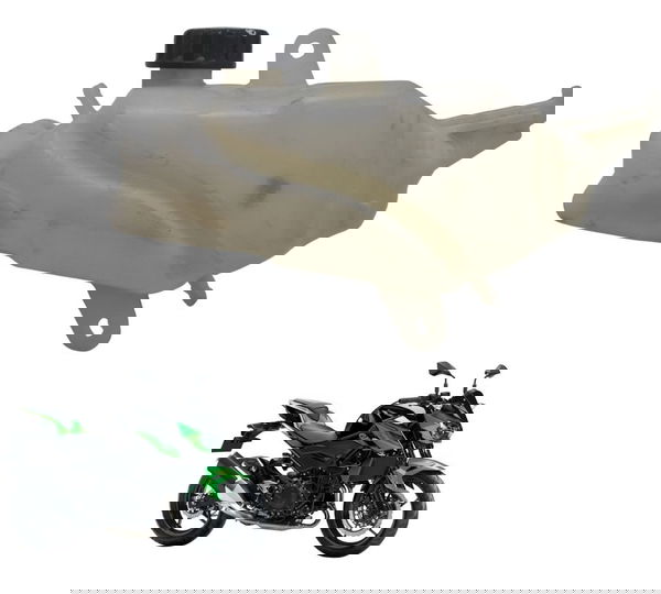 Reservatório Água Kawasaki Z 400 19-23 Original