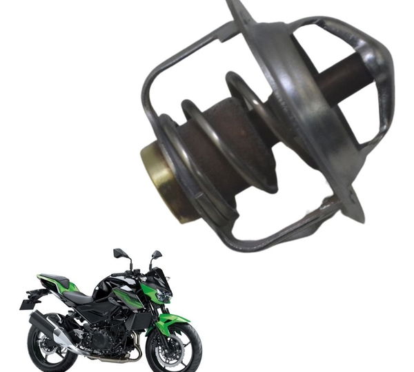 Válvula Termostática Kawasaki Z 400 19-23 Original