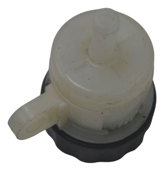 Reservatório Freio Traseiro Kawasaki Z 400 19-23 Original