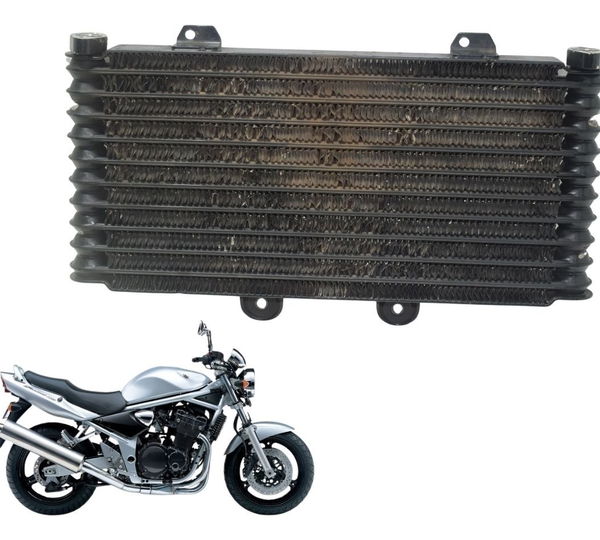 Radiador Suzuki Bandit 1200 99-06 Original