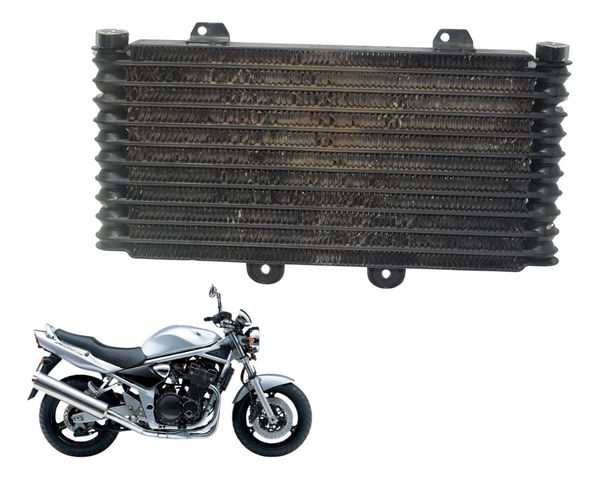 Radiador Suzuki Bandit 1200 99-06 Original