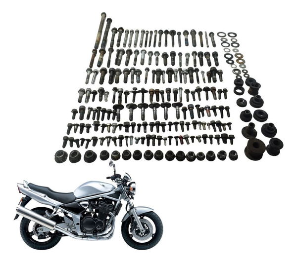 Kit Parafuso Diversos Suzuki Bandit 1200 99-06 Original