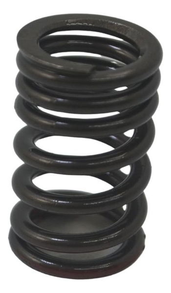 Mola Válvula Admissão Kawasaki Ninja Zx 14r 10-13 Original