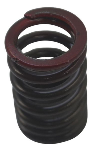 Mola Válvula Admissão Kawasaki Ninja Zx 14r 10-13 Original