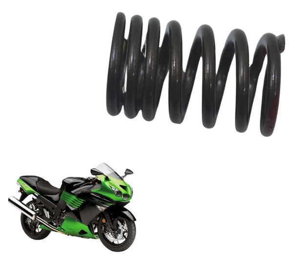 Mola Válvula Admissão Kawasaki Ninja Zx 14r 10-13 Original