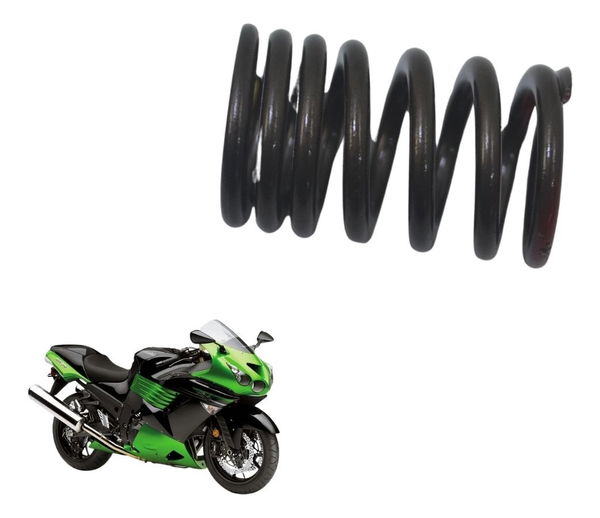Mola Válvula Admissão Kawasaki Ninja Zx 14r 10-13 Original