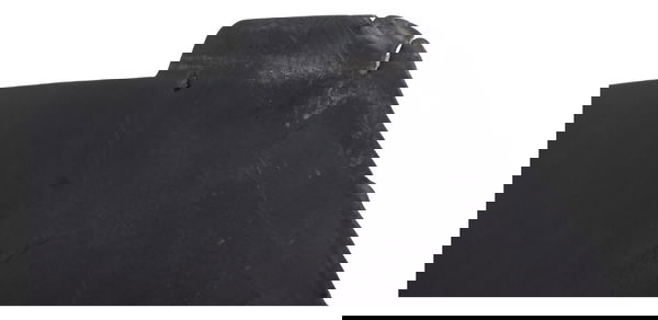 Carenagem Tampa Central Suzuki Burgman 650 07-15 Original