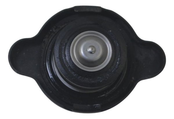 Tampa Radiador Kawasaki Ninja Zx 14r 10-13 Original