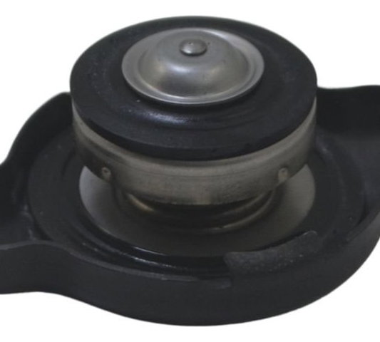 Tampa Radiador Kawasaki Ninja Zx 14r 10-13 Original