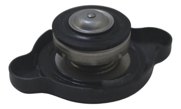 Tampa Radiador Kawasaki Ninja Zx 14r 10-13 Original