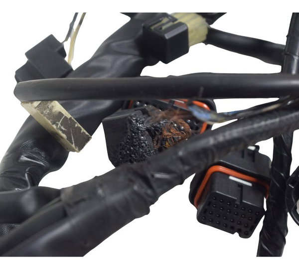 Chicote Principal C/avaria Suzuki Burgman 650 07-15 Original