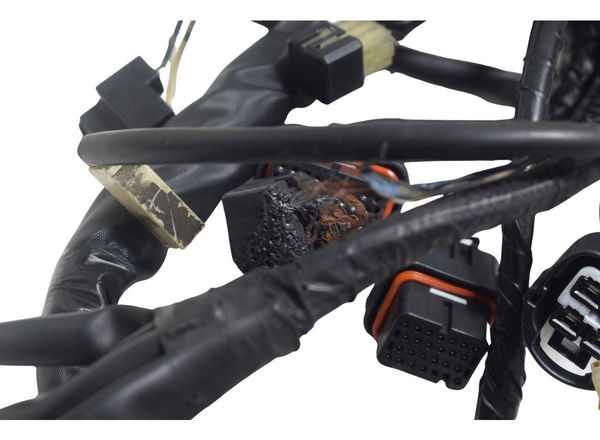 Chicote Principal C/avaria Suzuki Burgman 650 07-15 Original