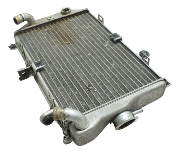 Radiador Suzuki Burgman 650 07-15 Original