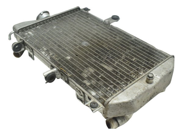 Radiador Suzuki Burgman 650 07-15 Original