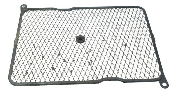 Grade Proteção Radiador Suzuki Burgman 650 07-15 Original