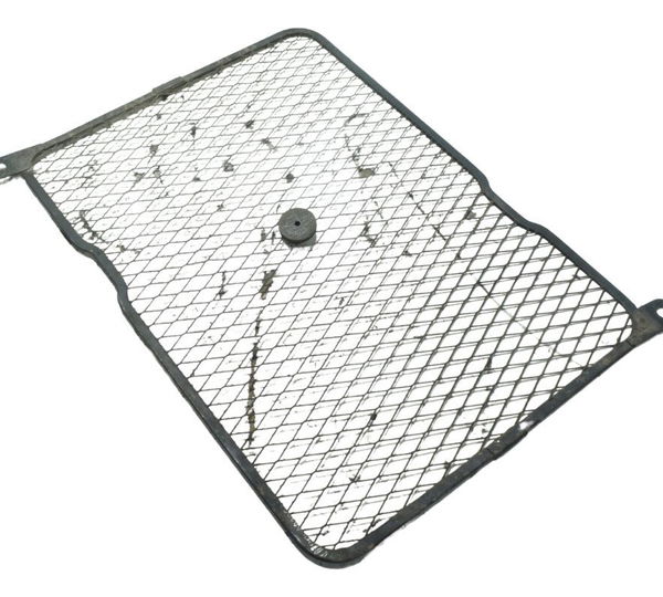 Grade Proteção Radiador Suzuki Burgman 650 07-15 Original