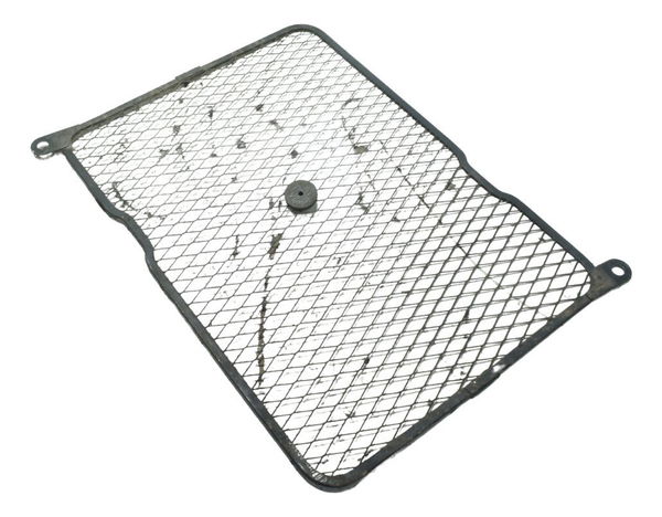 Grade Proteção Radiador Suzuki Burgman 650 07-15 Original