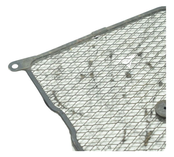 Grade Proteção Radiador Suzuki Burgman 650 07-15 Original