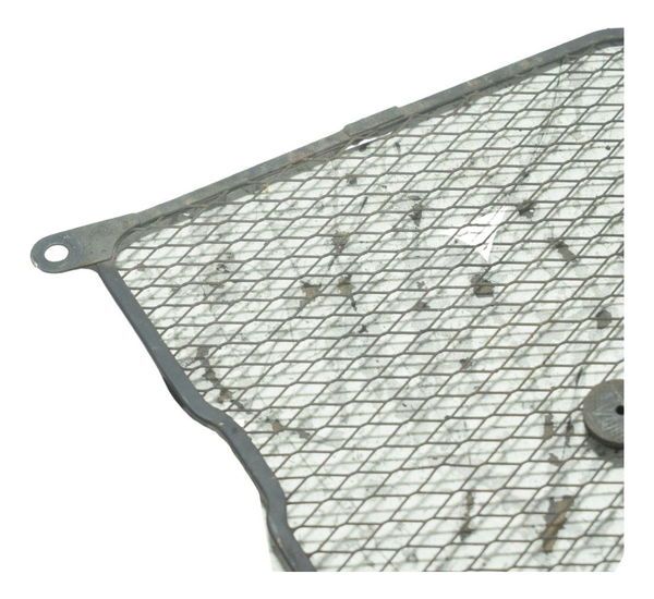 Grade Proteção Radiador Suzuki Burgman 650 07-15 Original