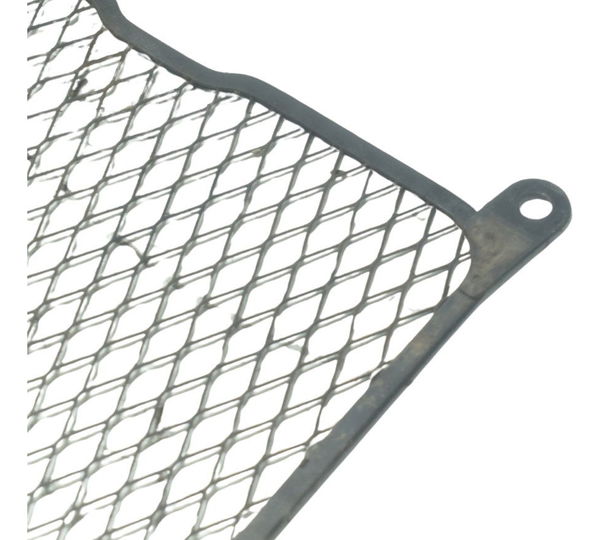 Grade Proteção Radiador Suzuki Burgman 650 07-15 Original