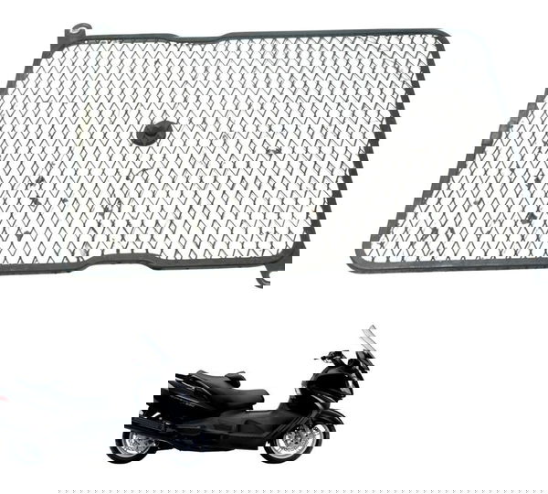 Grade Proteção Radiador Suzuki Burgman 650 07-15 Original