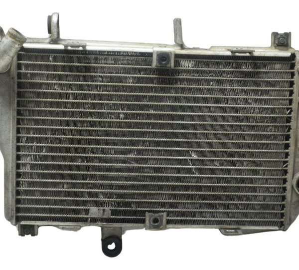 Radiador C/detalhes Suzuki Burgman 650 07-15 Original