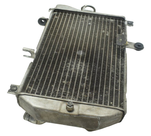 Radiador C/detalhes Suzuki Burgman 650 07-15 Original