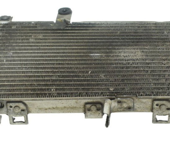 Radiador C/detalhes Suzuki Burgman 650 07-15 Original