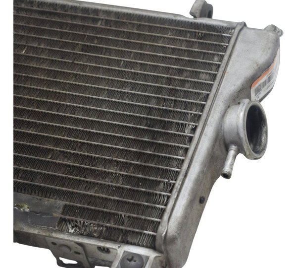 Radiador C/detalhes Suzuki Burgman 650 07-15 Original