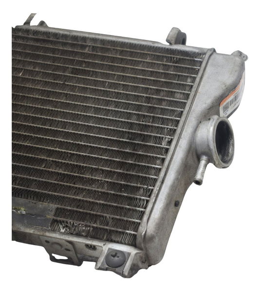 Radiador C/detalhes Suzuki Burgman 650 07-15 Original