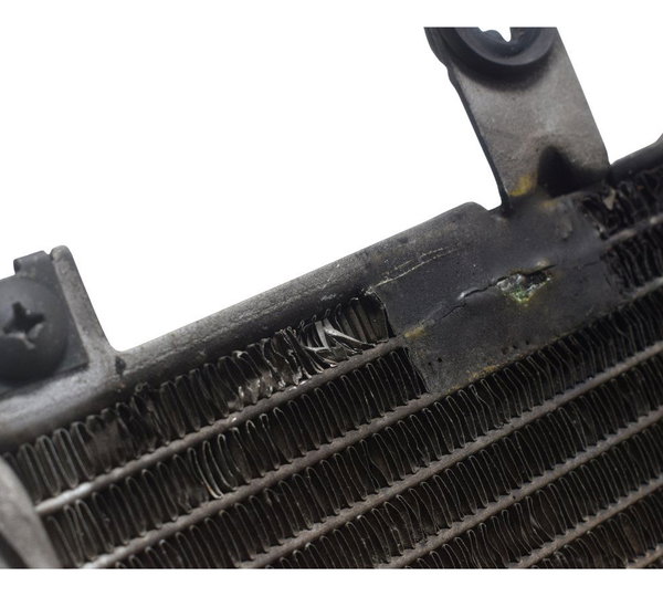 Radiador C/detalhes Suzuki Burgman 650 07-15 Original
