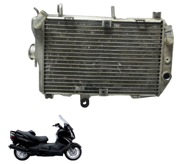 Radiador C/detalhes Suzuki Burgman 650 07-15 Original