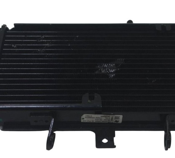 Radiador Royal Enfield Himalayan 450 25-26 Original