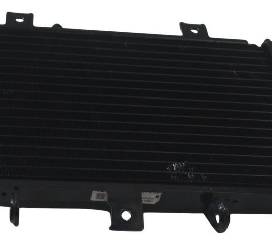 Radiador Royal Enfield Himalayan 450 25-26 Original