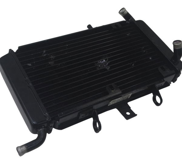 Radiador Royal Enfield Himalayan 450 25-26 Original