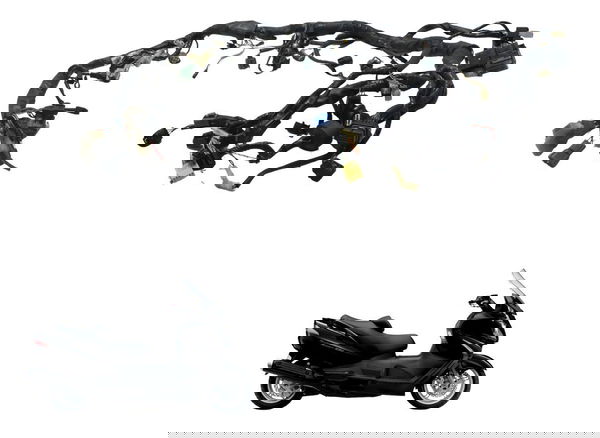 Chicote Principal Suzuki Burgman 650 07-15 Original