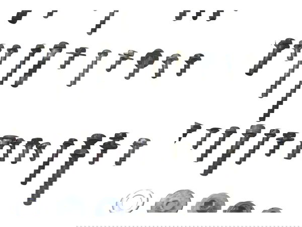 Kit Parafuso Diversos Kawasaki Ninja Zx 14r 10-13 Original