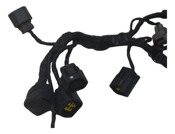 Chicote Bico Injetor Kawasaki Ninja Zx 14r 10-13 Original