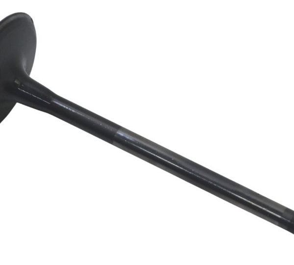 Válvula Admissão Kawasaki Ninja Zx 14r 10-13 Original