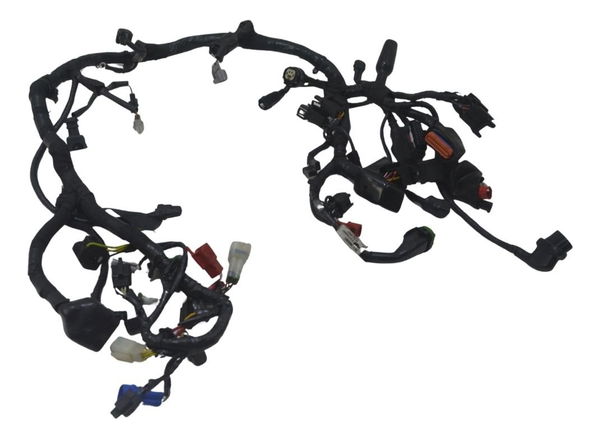 Chicote Principal Royal Enfield Meteor 350 22-25 Original